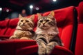 Cute cat in the cinema. Two beautiful cats sitting on a red chair