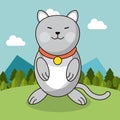 Cute cat with collar adorable landscape natural