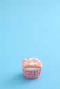Cute cat cupcake isolated in blue background Royalty Free Stock Photo