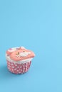 Cute cat cupcake isolated in blue background Royalty Free Stock Photo