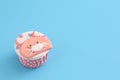 Cute cat cupcake isolated in blue background Royalty Free Stock Photo