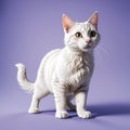 cute cat 3d rendered illustration Generative ai Royalty Free Stock Photo