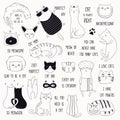 Cute cat doodles and quotes set Royalty Free Stock Photo