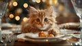 Cute Cat Eating Dinner Fine Dining Kitty Meme Funny Cats Adorable Pets