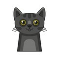 Cute Cat Face Icon. Cartoon Style on White Background Vector Royalty Free Stock Photo