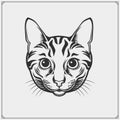 Cute cat face illustration. Greeting card design, print design for t-shirt, template for pet shop logo. Royalty Free Stock Photo