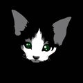 cute cat face vector illustration shadow silhouette Royalty Free Stock Photo