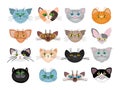 Cute cat faces illustration