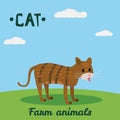 Cute Cat, farm animal character, farm animals, vector illustration on field background. Cartoon style, isolated Royalty Free Stock Photo