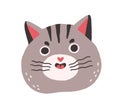 Cute cat with funny angry face meowing. Chubby head of fluffy feline animal. Amusing kitty's muzzle with open mouth and
