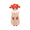 Cute cat in funny costume with mushroom cap. Halloween kitty disguised in fly agaric clothing. Adorable kitten