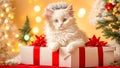 Cute cat gift box christmas december bow Royalty Free Stock Photo