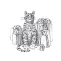 Cute cat with gifts on his back. Demonstrates emotions, joy, happiness, happy birthday. a cat with gifts. hand-drawn