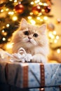 Cute cat with gifts and presents under Christmas tree Royalty Free Stock Photo