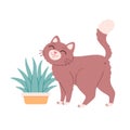 Cute cat with grass in a pot. Cat grass. Domestic pets, feline activities. Home cat life. Vector illustration in flat