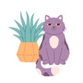 Cute cat with grass in a pot. Domestic pets, feline activities. Home cat life. Vector illustration in flat style