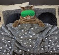 Cat with a sleep mask in the bed 2 Royalty Free Stock Photo