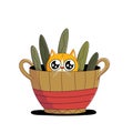 Cute cat in green plants in flower pot Royalty Free Stock Photo