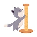 Cute Cat with Grey Coat Scratching Claws Against Post Vector Illustration