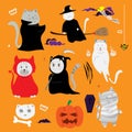 Cute cat hand drawn cartoon. Halloween theme Royalty Free Stock Photo