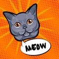 Cute cat head pop art. on orange background. Vector Royalty Free Stock Photo