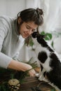 Cute cat helping and kissing young happy woman making rustic christmas wreath. Sweet moments Royalty Free Stock Photo