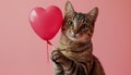Cute cat holding in paws heart-shaped balloon. Valentines day greetings