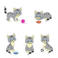 Cute cat icon collection Royalty Free Stock Photo