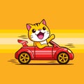 Cute Cat Kitten driving a car fast