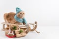 Cute cat in knitted scarf and cap on the sledge with presents on white background. Chritmas, New Year shopping, sale concept. Copy