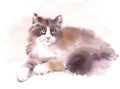 Cute Cat Laying Down Watercolor Pet Portrait Illustration Hand Painted