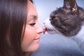 Cute cat licking or kissing woman& x27;s nose. Cat and owner together