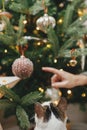 Cute cat looking at stylish christmas tree with vintage baubles and female hand. Pet and winter holidays. Merry Christmas! Royalty Free Stock Photo