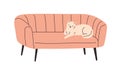 Cute Cat Lying On Cozy Couch. Kitty Sleeping On Lounge Sofa. Home Feline Animal, Kitten Relaxing On Living Room