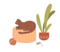 Cute cat lying at home. Adorable kitty with toys, mouse, ball and potted plant. Colored flat vector illustration of