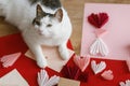 Cute cat lying at red and pink hearts, gift box, envelope, scissors and paper on wooden table. Valentine holiday preparations. Royalty Free Stock Photo