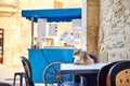 A cute cat lying on a white table. Fast food cart