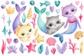 Cute cat. Mermaid, seashells, crown, bubbles, coral and fish. isolated white background. Watercolor drawing Royalty Free Stock Photo