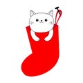 Cute cat in Merry Christmas Santa sock. Cartoon funny character. Hanging red Santa Claus stocking. Funny kawaii doodle contour Royalty Free Stock Photo