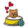 cute cat with milk bowl and ball toy Royalty Free Stock Photo