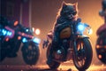 Cute cat with motorcycle created with Generative Ai technology. Funny cat Royalty Free Stock Photo