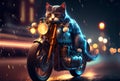 Cute cat with motorcycle created with Generative Ai technology. Funny cat Royalty Free Stock Photo