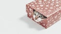 Cute cat peeking from festive gift box with snowflake patterned wrapping paper Royalty Free Stock Photo