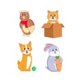 Cute cat Pet animals playing pose style set bundle