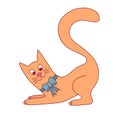 Cute cat pet character vector