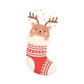 Cute Cat Pet Wearing Deer Antlers Peeped Out Christmas Stocking Vector Illustration Royalty Free Stock Photo