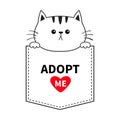 Cute Cat In The Pocket. Holding Hands Paws. Adopt Me. Red Heart. Cartoon Animals. Kitten Kitty Character. Dash Line. Pet Animal Co