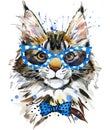 Cute Cat Portrait. Maine Coon cat watercolor illustration