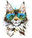 Cute Cat Portrait. Maine Coon cat. watercolor cat illustration