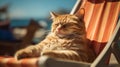 cute cat relaxing in beach Royalty Free Stock Photo